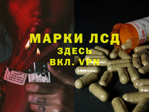дурь Алексеевка