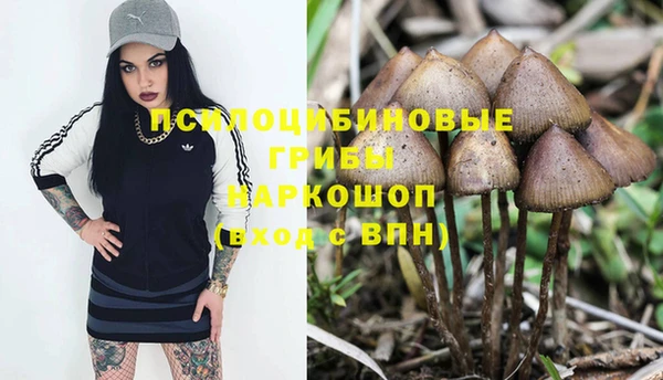 дурь Алексеевка