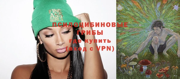 дурь Алексеевка