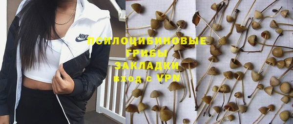дурь Алексеевка