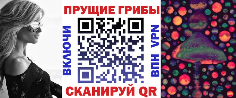 хочу   Удачный  Псилоцибиновые грибы мицелий 